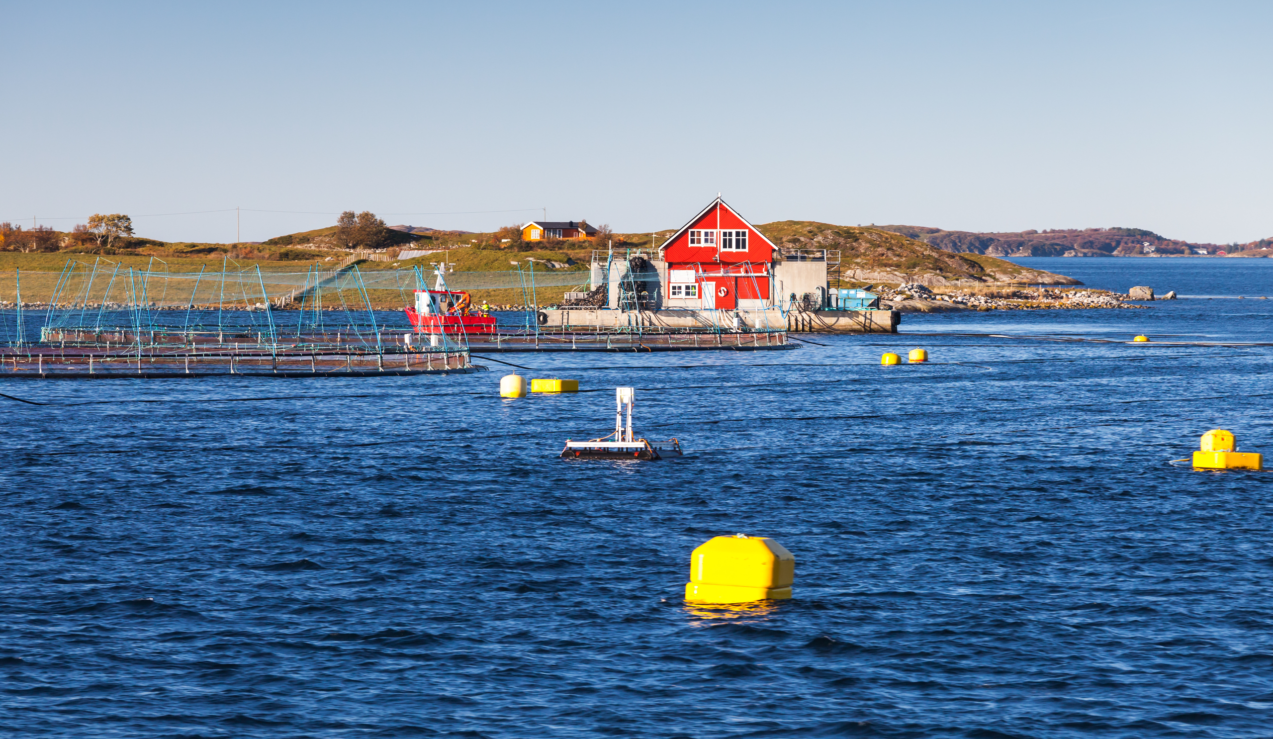 Fish farm using EXIAS Electrolyte analyzer for marine and aqua-cultures