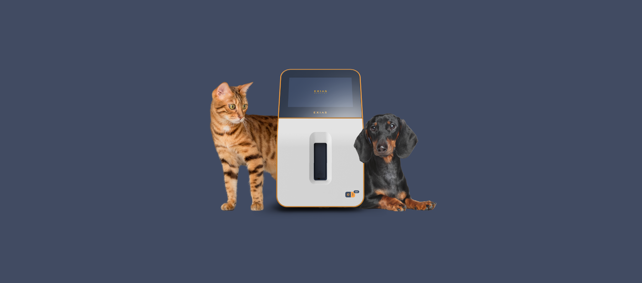 Best Electrolyte Results for Veterinary - e1vet